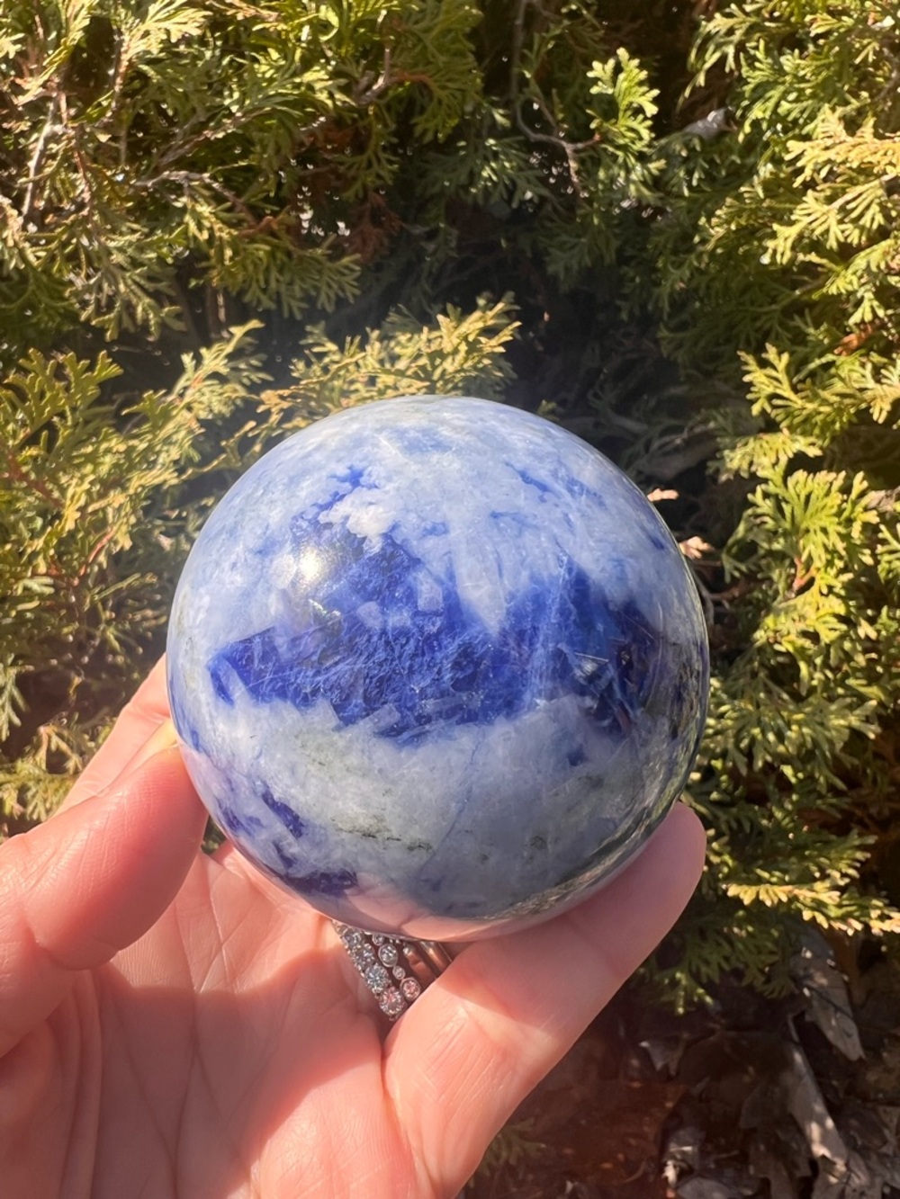 Afghanite (6) spear |  crystal ~ UV reactive